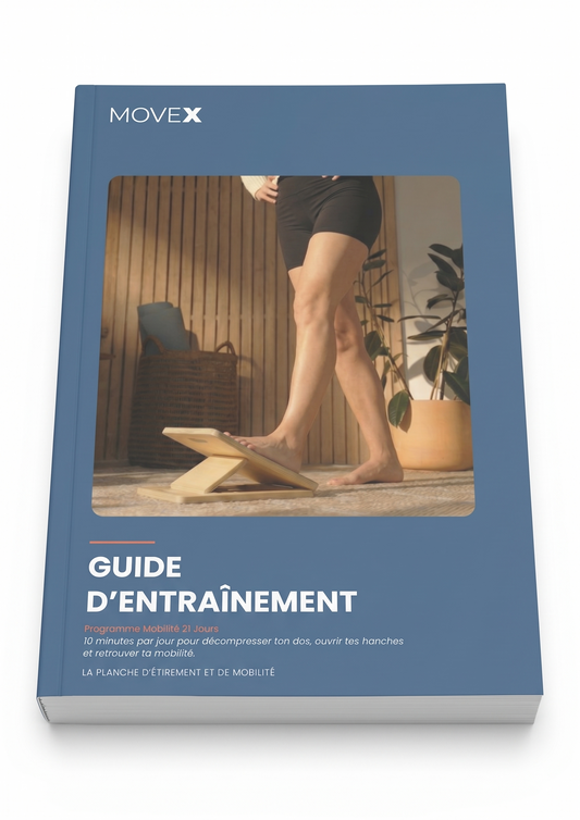 MOVEX - Guide d'entraînement